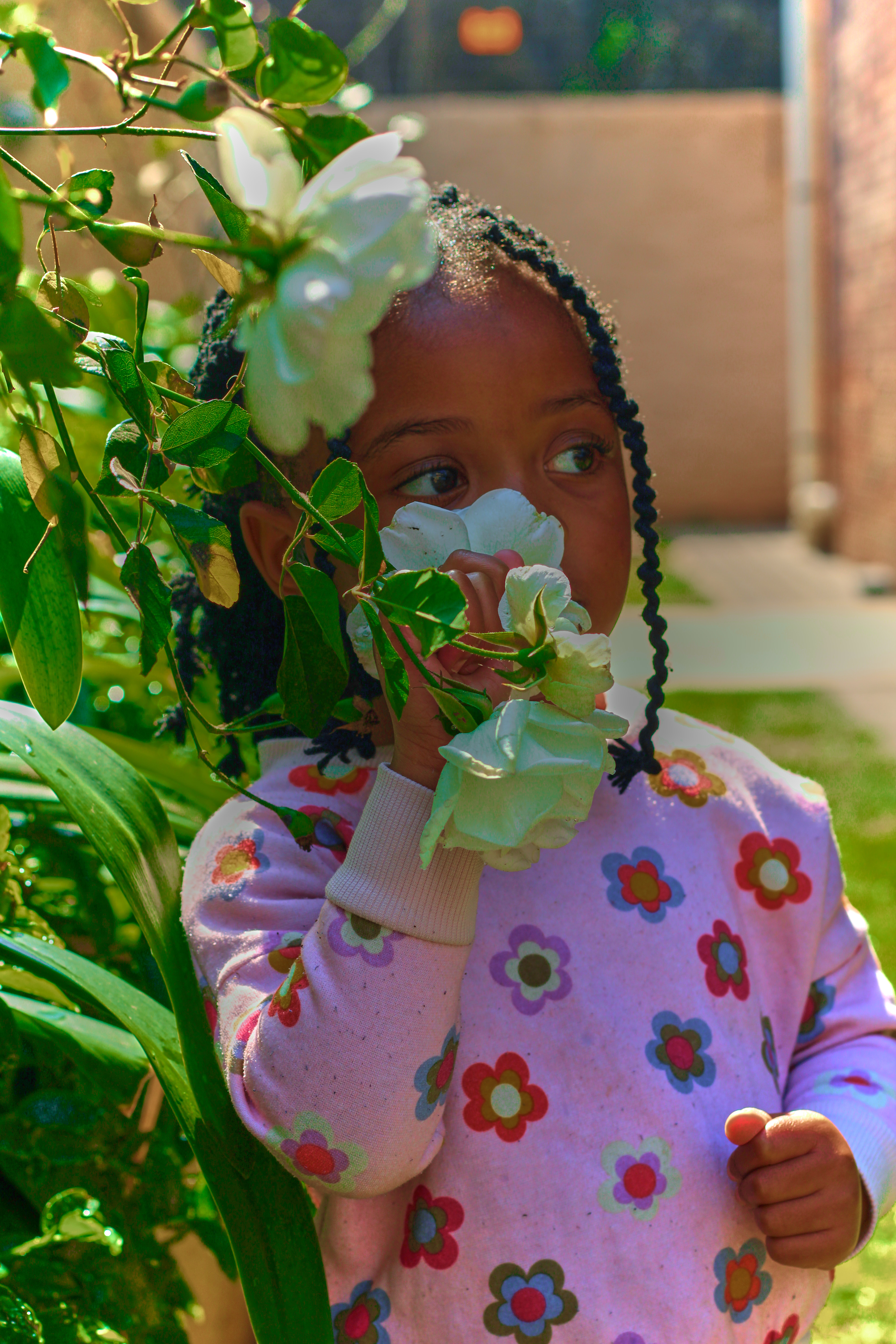 Geko Pictures profile picture